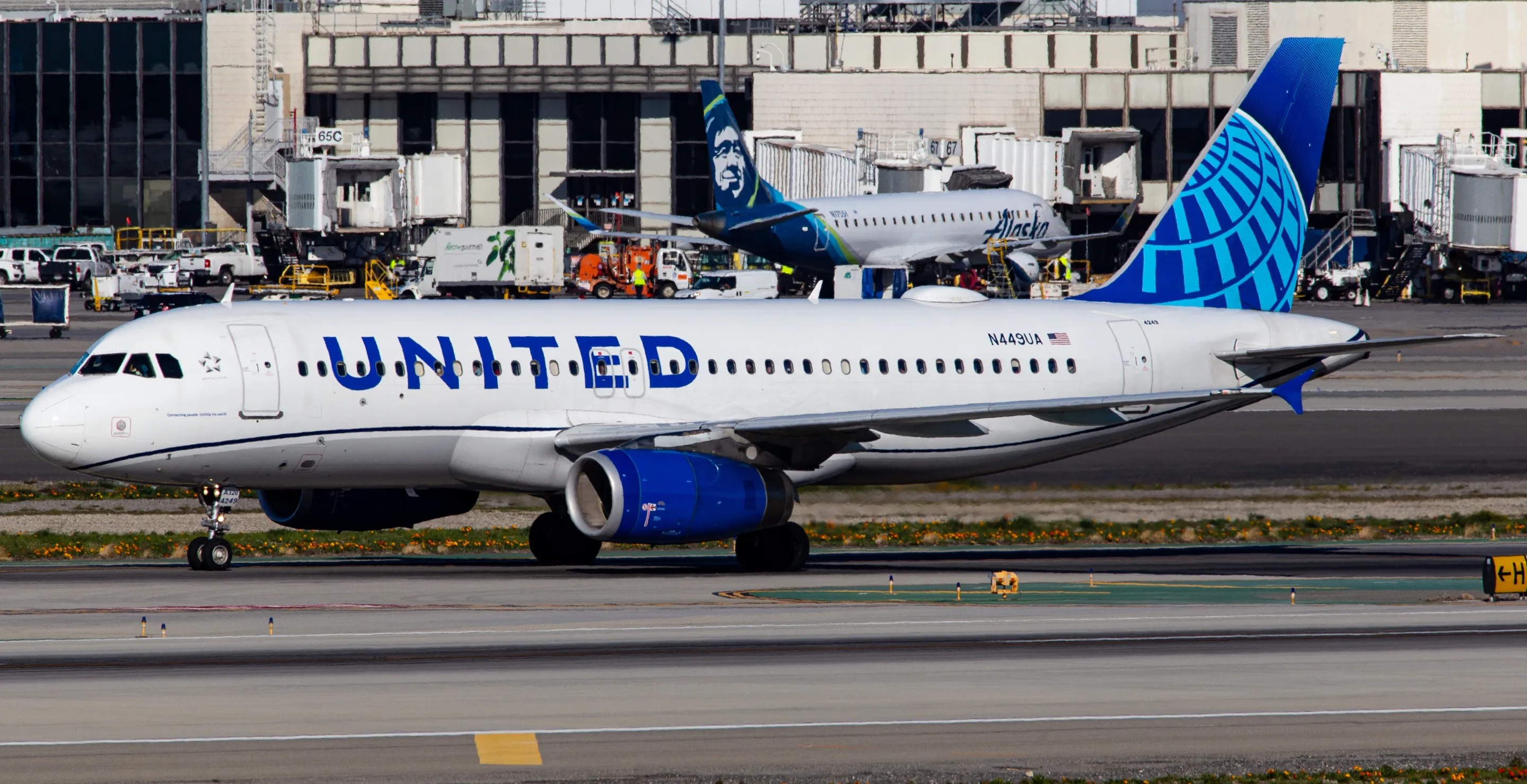 United Airlines Flight Strikes Wild Coyote Upon Take Off In Wild Runway Mishap