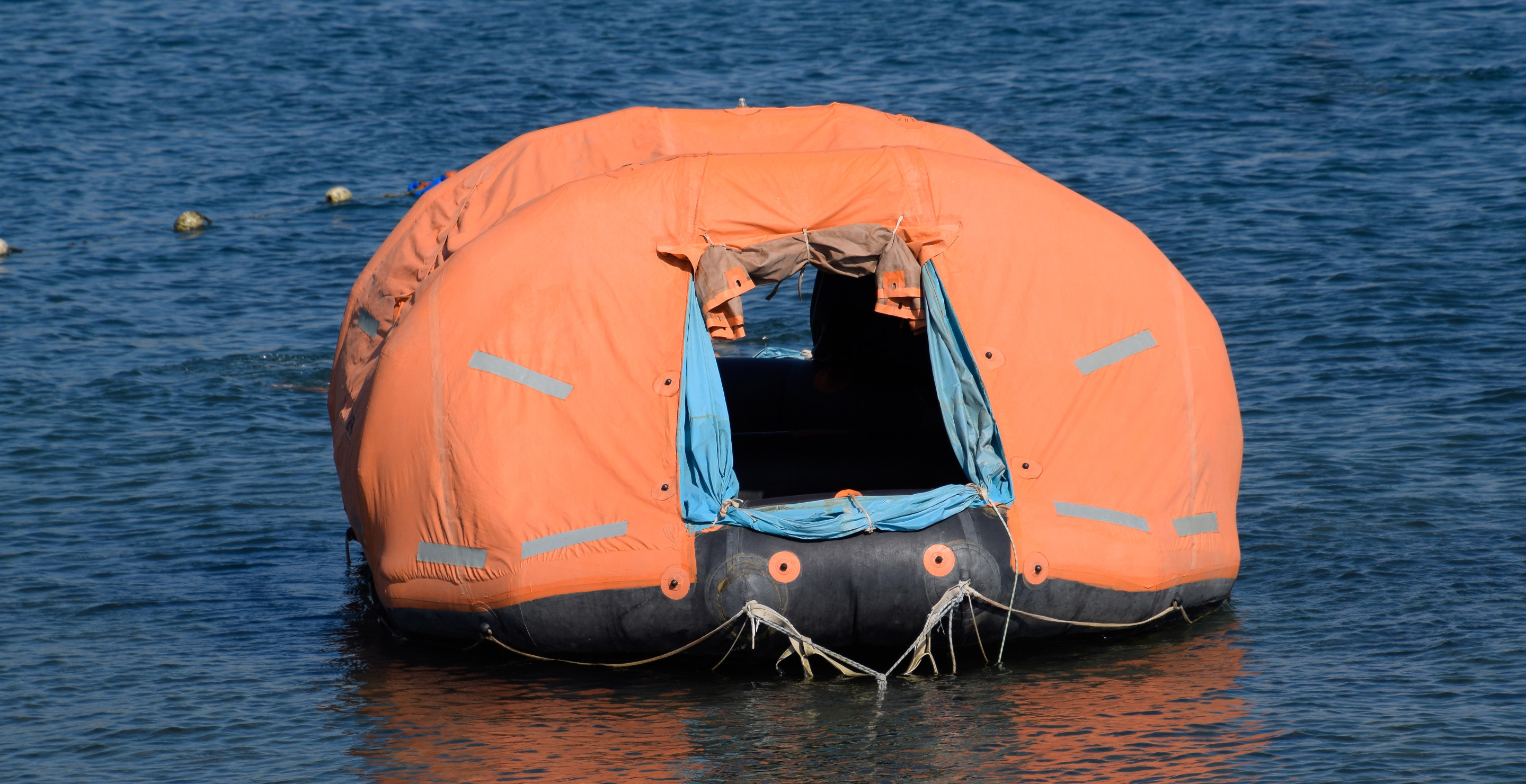 Whale Watcher, Who Survived 67 Days Adrift At Sea, Arrested For Deaths Of Nephew And Brother