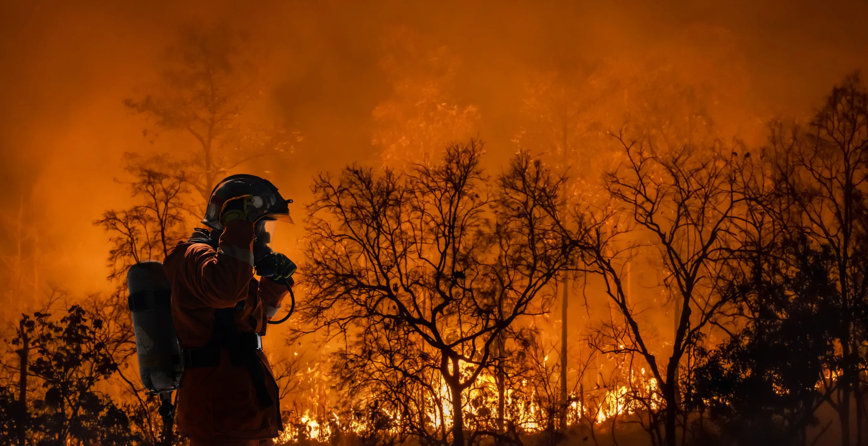 Woman, Who Evacuated California Wildfire, Describes Haunting Sight Of Watching Little Kids With Backpacks Running For Help