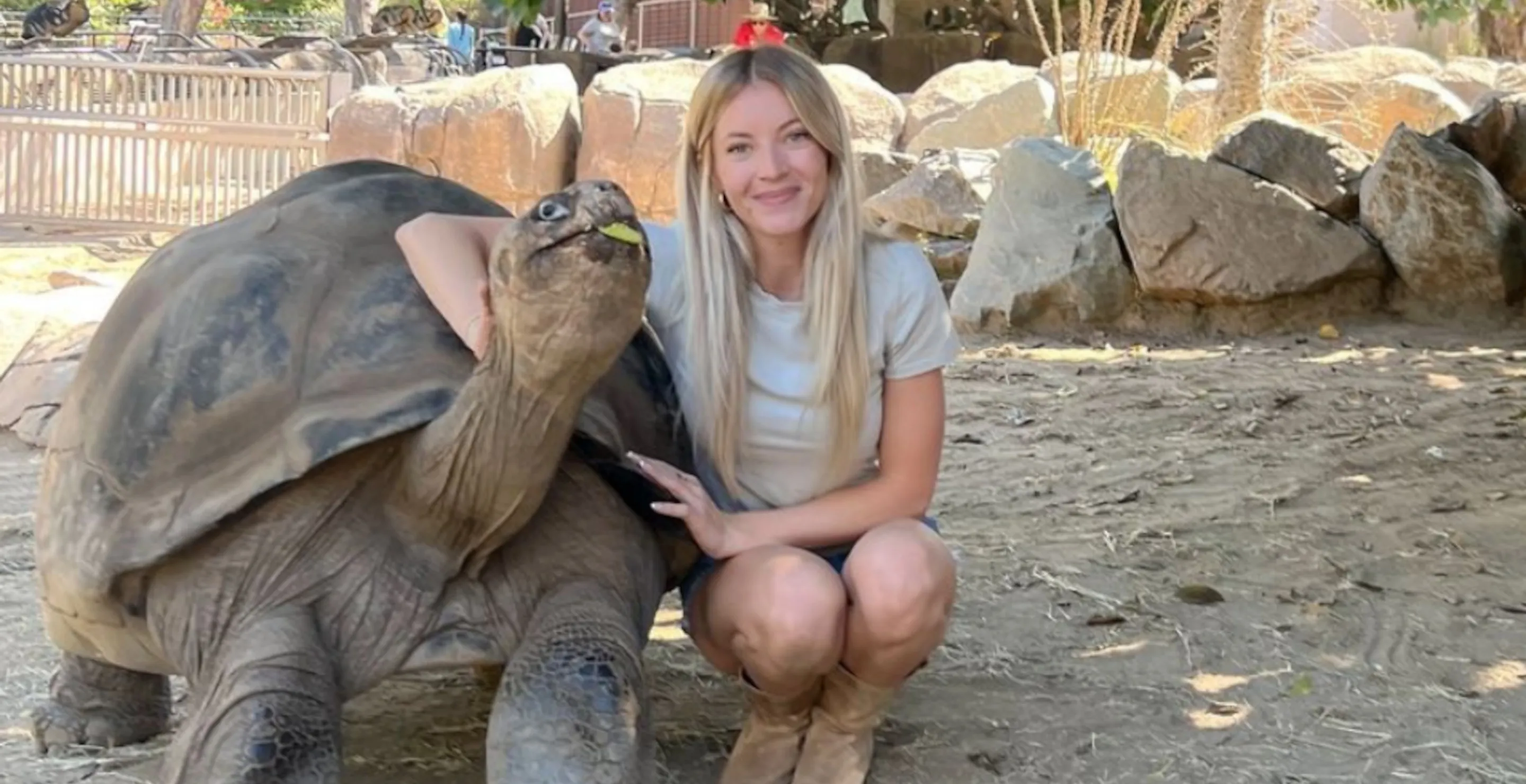 Woman With 175 Pound Tortoise Opens Up About Escaping California Wildfire