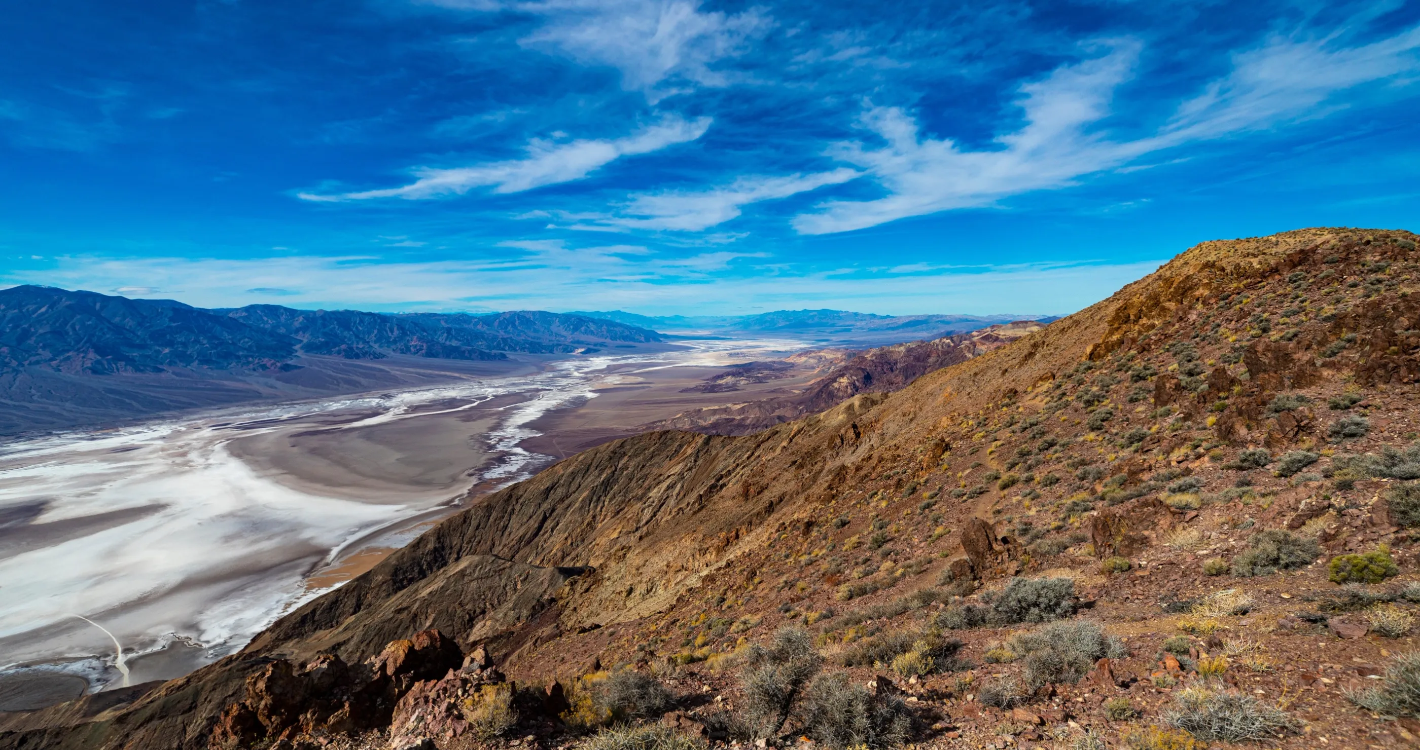 rare plant damaged at California's Death Valley National Park