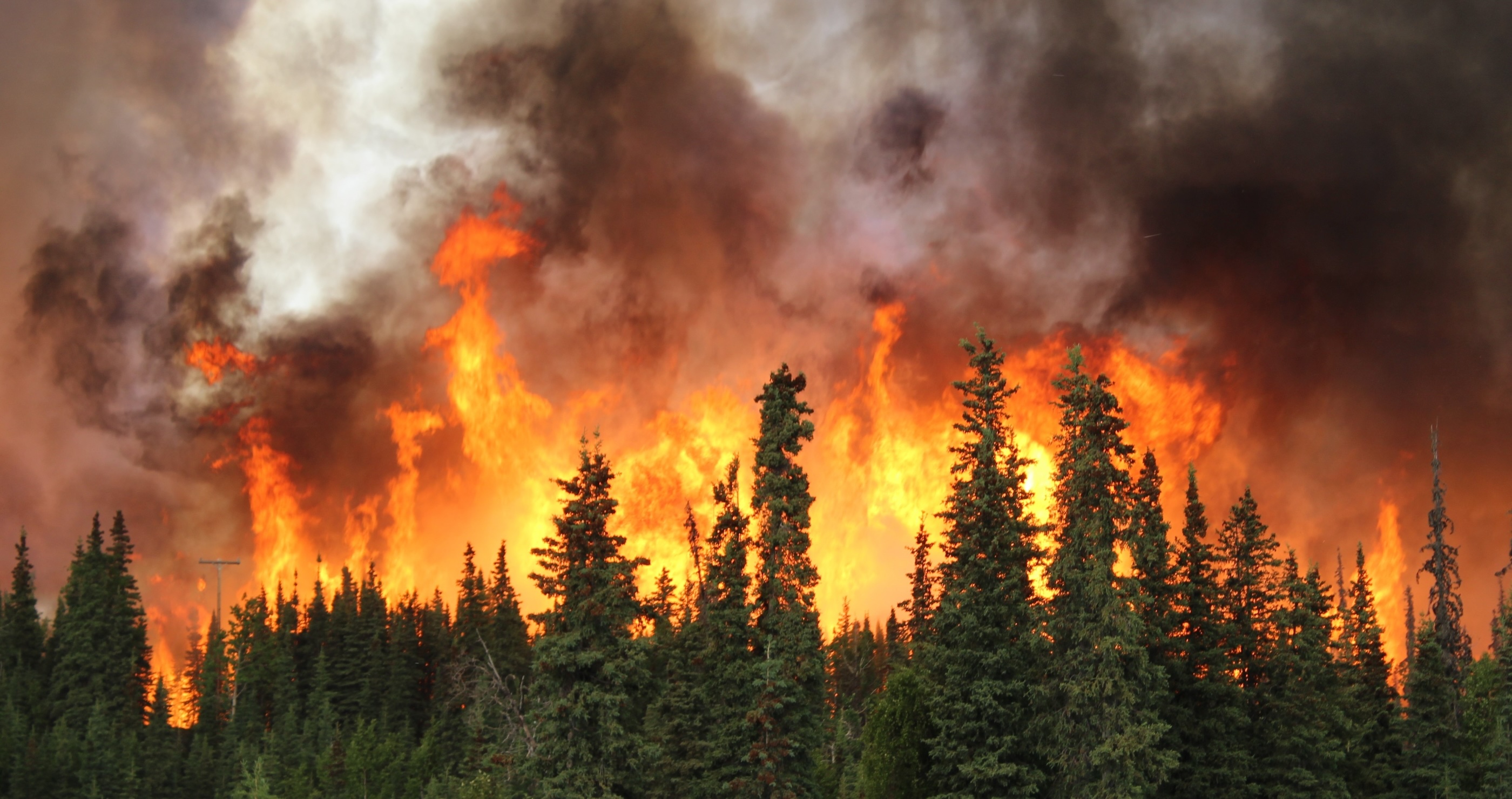 turns out you can feel the effects of wildfires from far way due to pollution