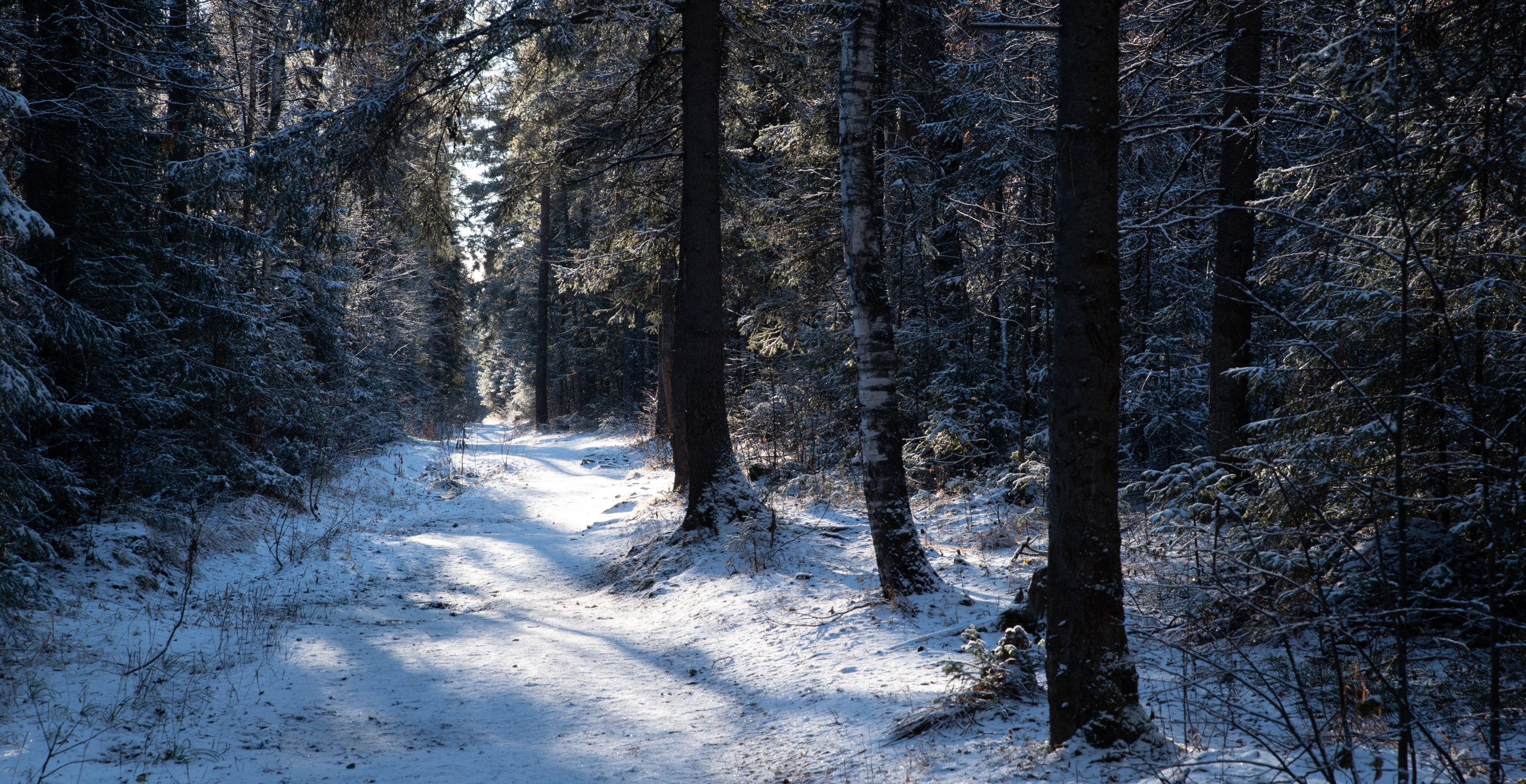 8th Grader Opens Up About Getting Stranded In The Woods Alone