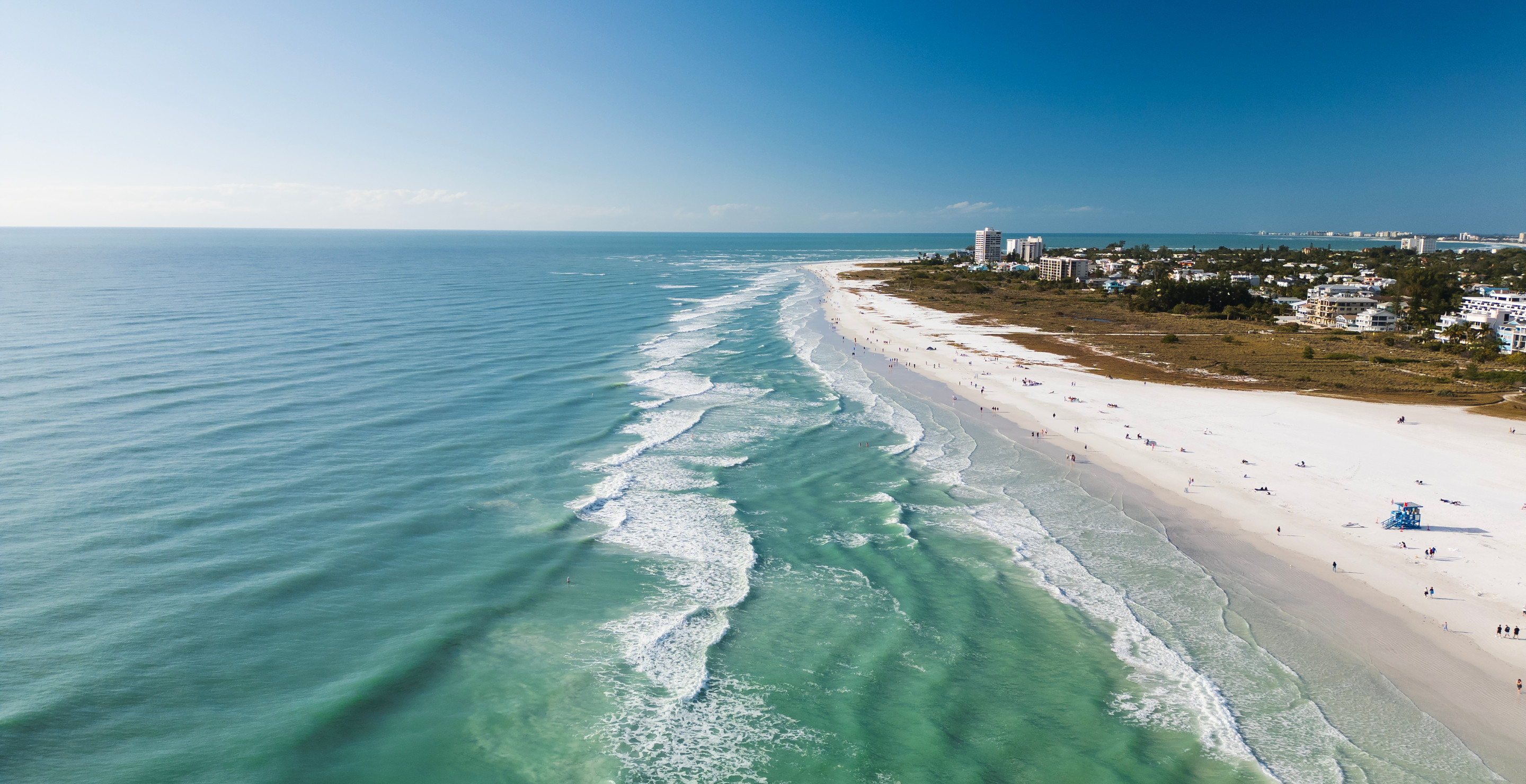 Calls For State Of Emergency In Florida After Toxic Organism Poses Risk To Beachgoers And Wild Life