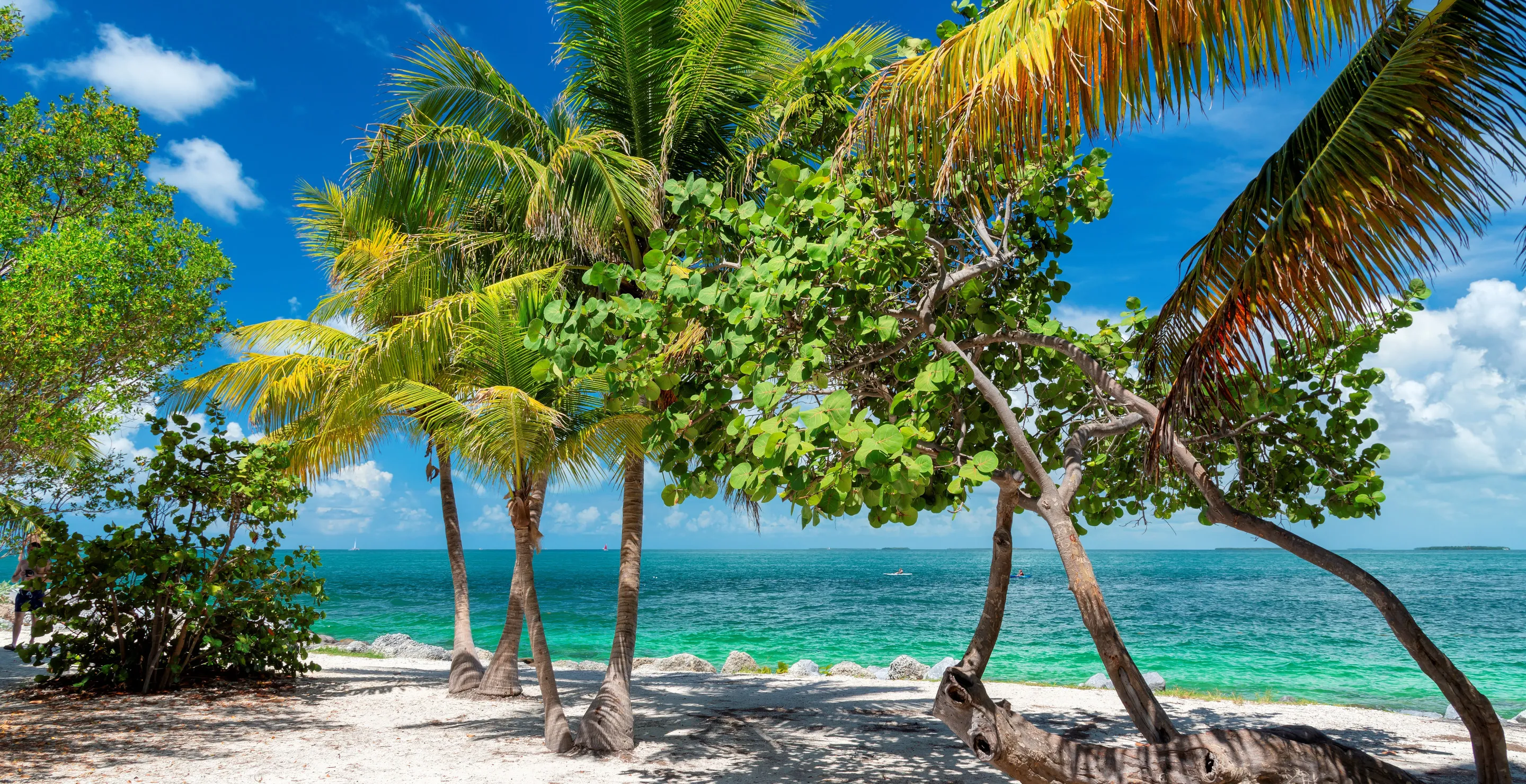 Major Beach Gets Shut Down After Officials Make Disturbing Discovery