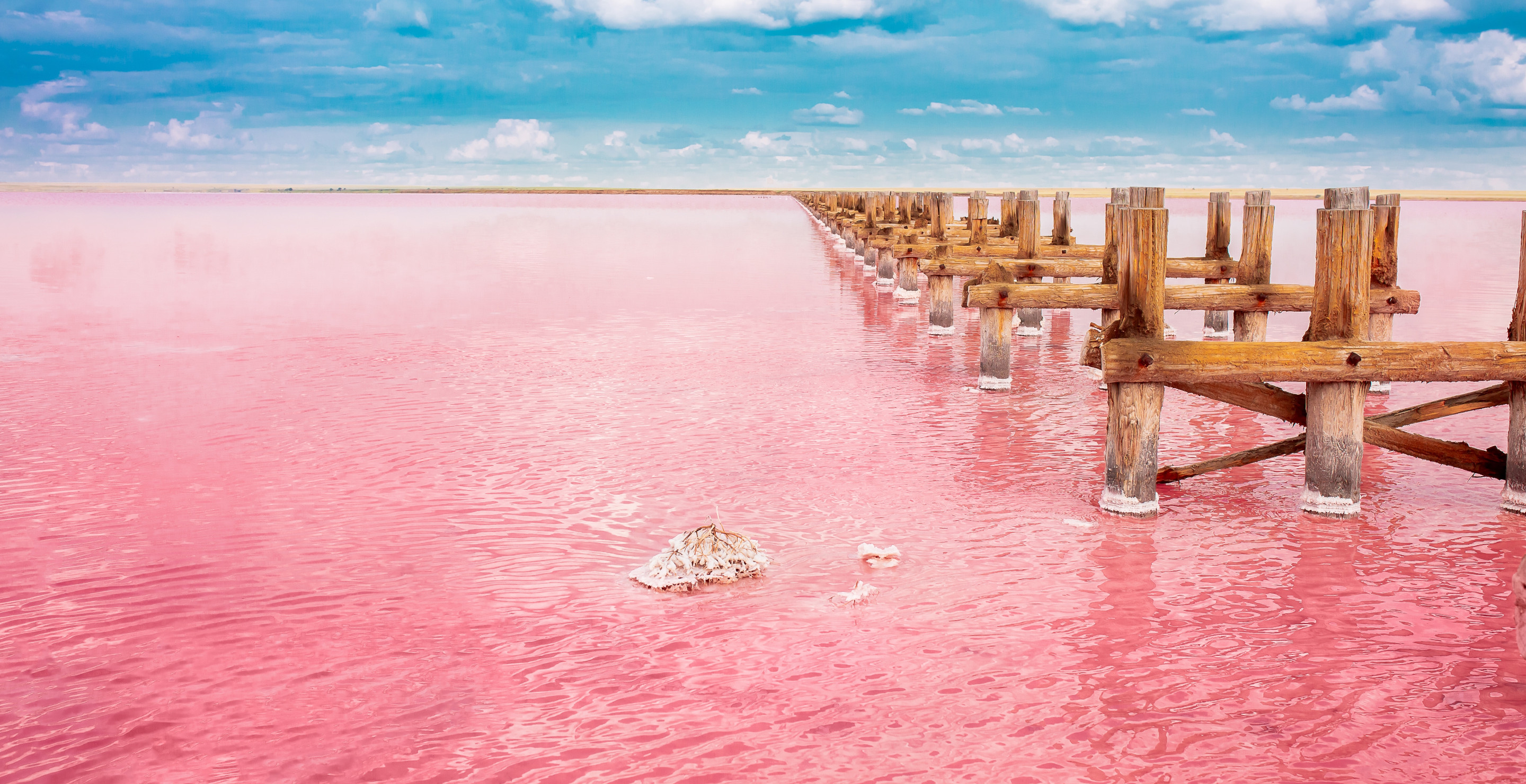 Visit One Of The World's Deadliest Lakes That Will Turn Animals To Stone If They Fall In