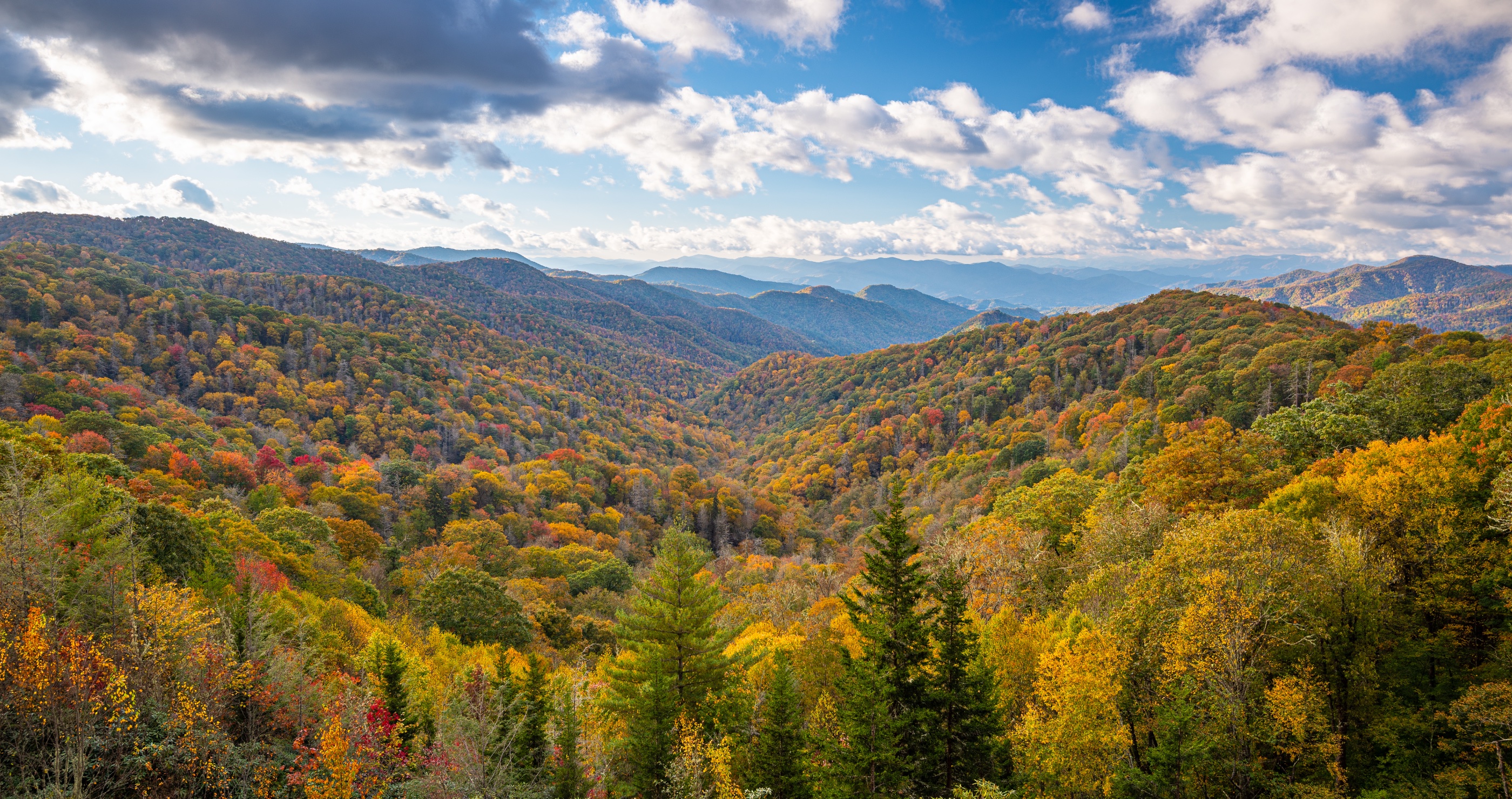 volunteer found dead at national park