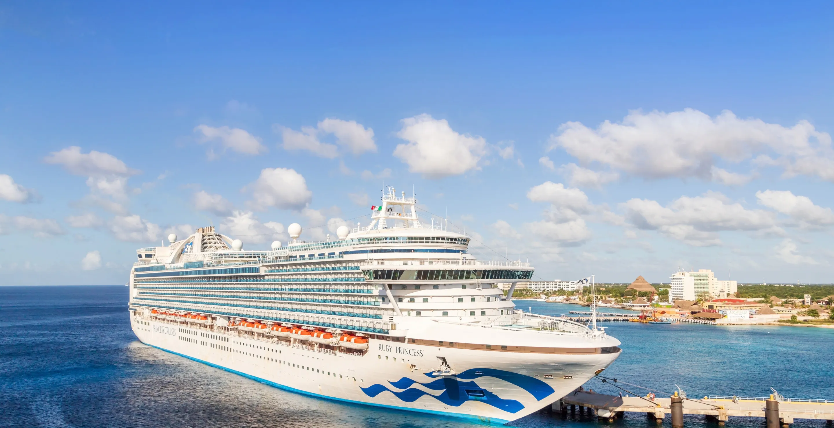 82 People Sick On Princess Cruises Ship In Latest Stomach Bug Outbreak