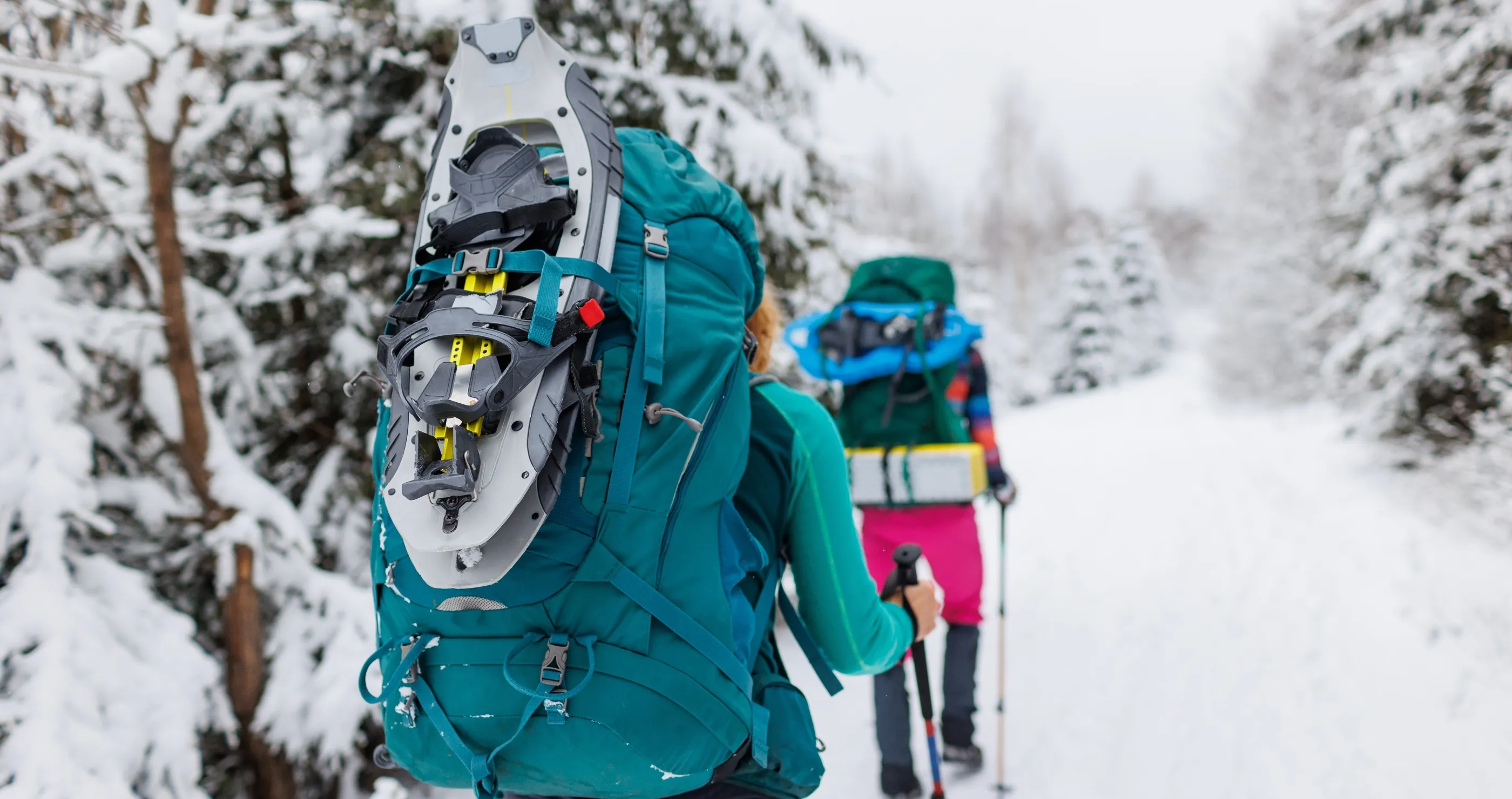 California Hikers Survive 2 Nights In The Frozen Wilderness After Falling Off A Cliff