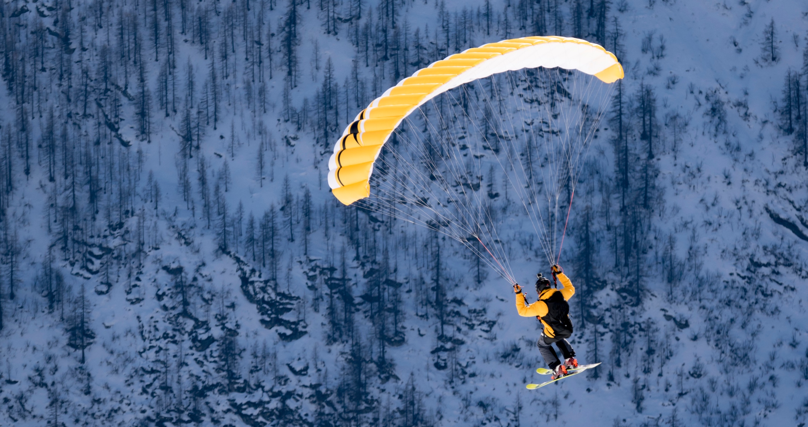 Cat Parachute Skis With His Owner