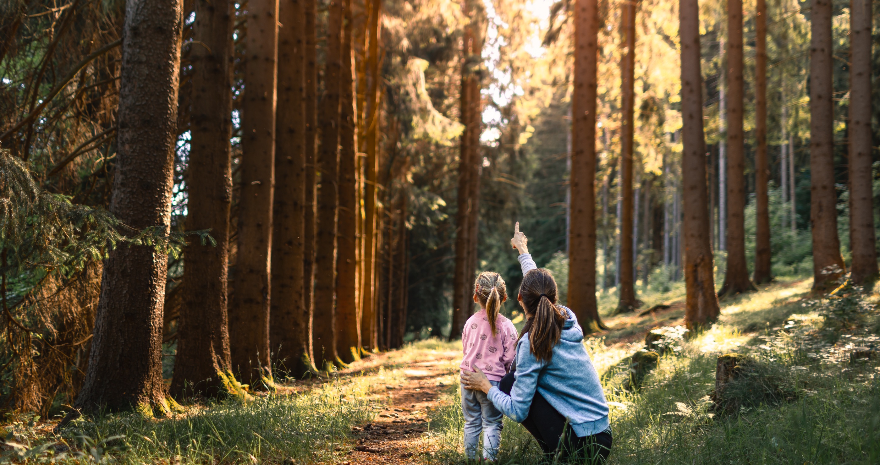 Family-Friendly Outdoor Skills Every Child Should Learn