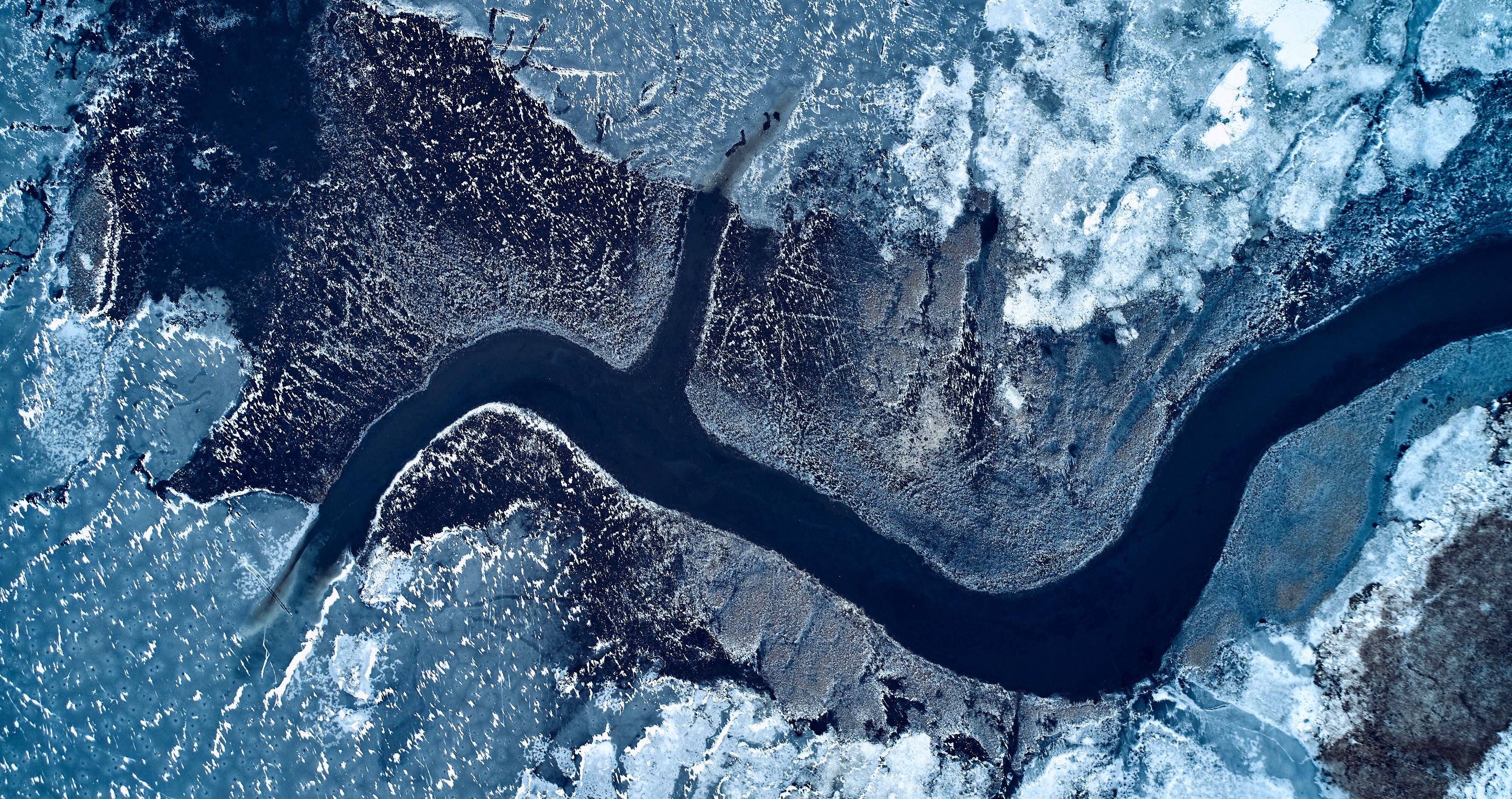 Right Place, Right Time- Watch A Kayaker Save Two Dogs From Drowning In Icy River